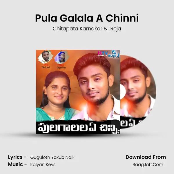 Pula Galala A Chinni MP3 Song by Chitapata Karnakar Cover