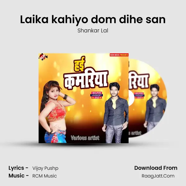 Laika kahiyo dom dihe san MP3 Song by Shankar Lal Cover
