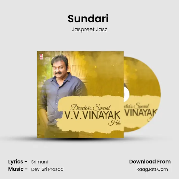 Sundari (From "Khaidi No 150") Cover