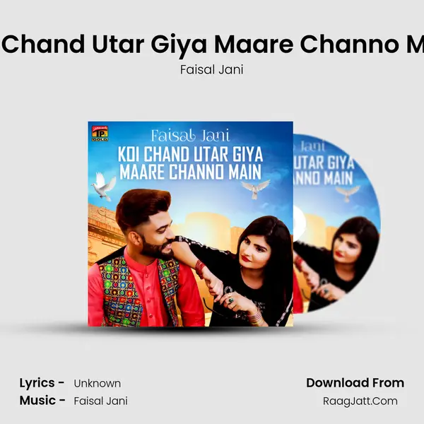 Koi Chand Utar Giya Maare Channo Main - Single - Faisal Jani