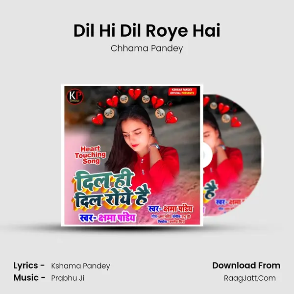 Dil Hi Dil Roye Hai mp3 song