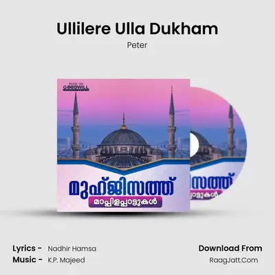 Ullilere Ulla Dukham MP3 Song by Peter Cover