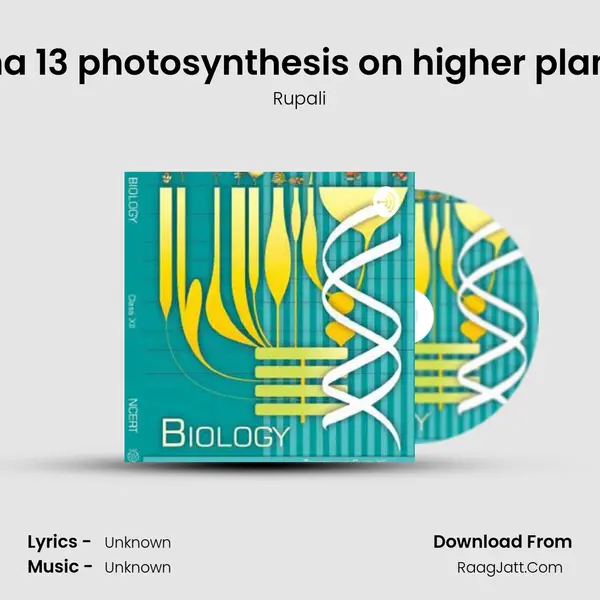 Cha 13 photosynthesis on higher plants MP3 Song by Rupali Cover
