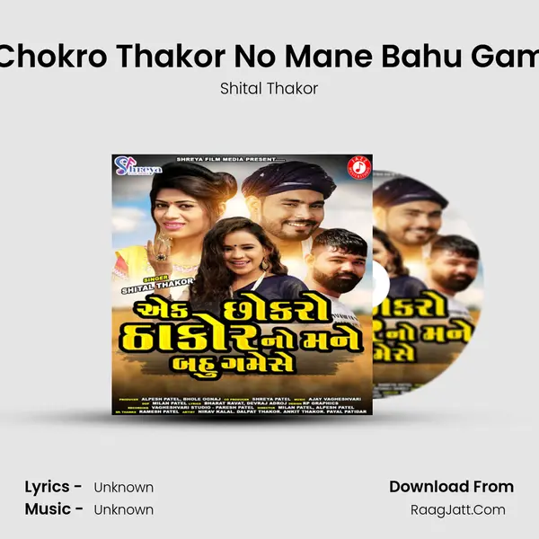 Aek Chokro Thakor No Mane Bahu Game Se - Single - Shital Thakor