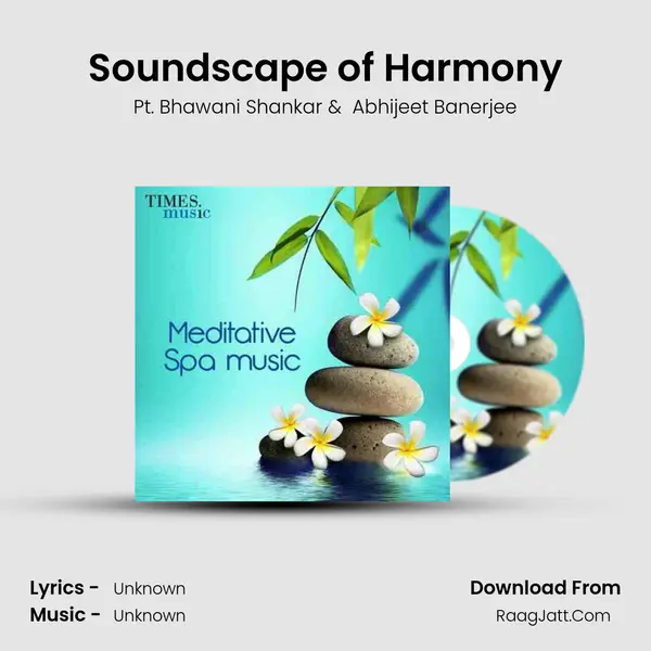 Soundscape of Harmony MP3 Song by Pt. Bhawani Shankar Cover