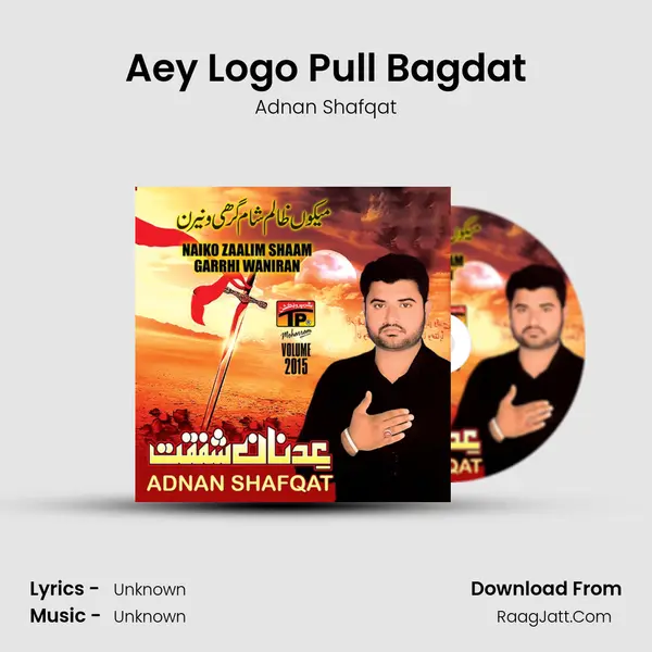 Aey Logo Pull Bagdat MP3 Song by Adnan Shafqat Cover