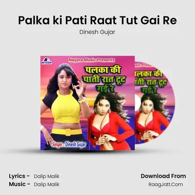Palka ki Pati Raat Tut Gai Re mp3 song