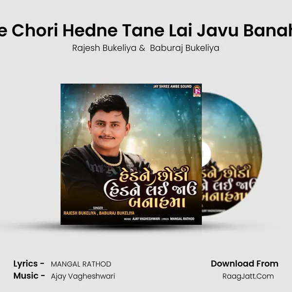 Hedne Chori Hedne Tane Lai Javu Banahmaa MP3 Song by Rajesh Bukeliya Cover
