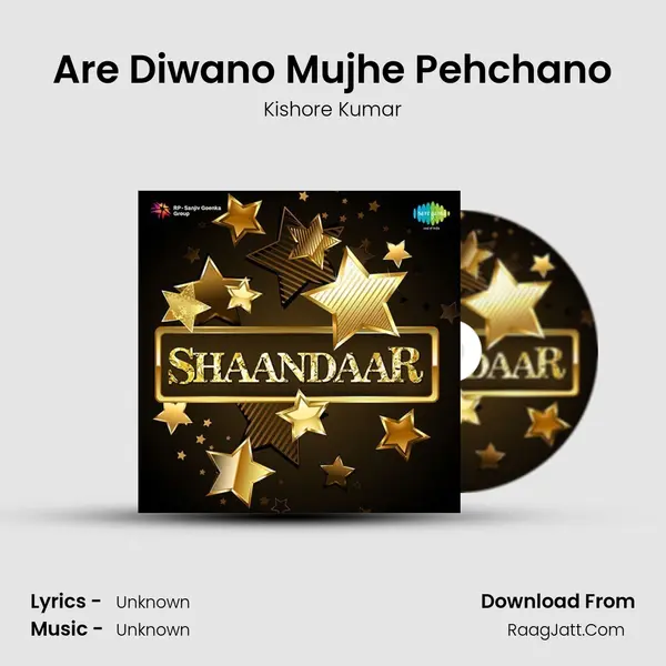 Are Diwano Mujhe Pehchano Cover