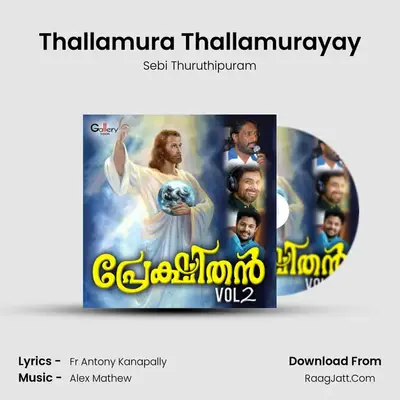 Thallamura Thallamurayay MP3 Song by Sebi Thuruthipuram Cover