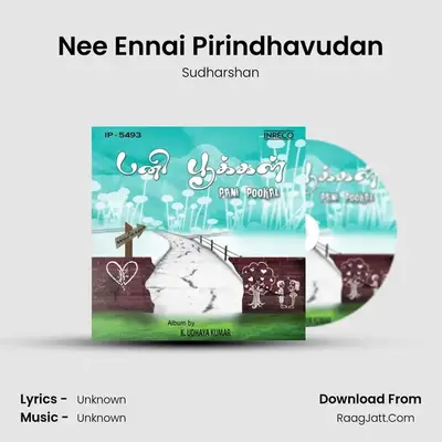 Nee Ennai Pirindhavudan MP3 Song by Sudharshan Cover