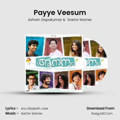Payye Veesum mp3 song