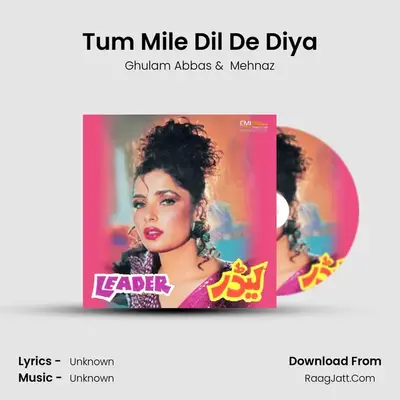 Tum Mile Dil De Diya Cover