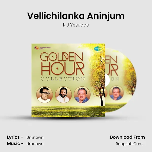 Vellichilanka Aninjum Cover