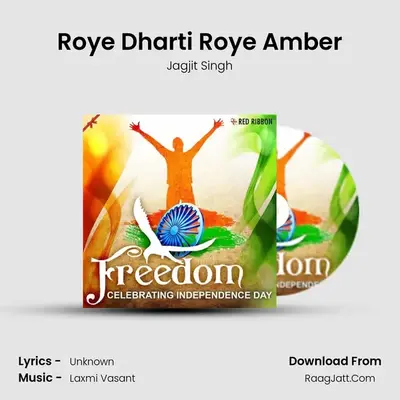 Roye Dharti Roye Amber Cover