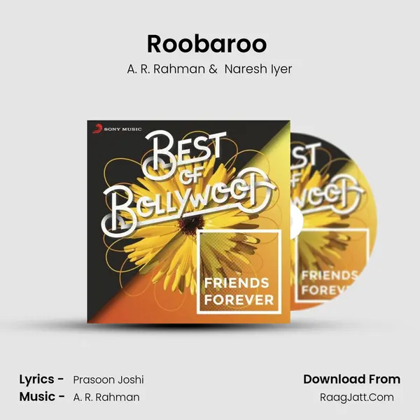 Roobaroo (From "Rang De Basanti") Cover