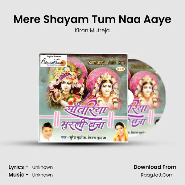 Mere Shayam Tum Naa Aaye mp3 song