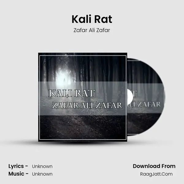 Kali Rat MP3 Song by Zafar Ali Zafar Cover