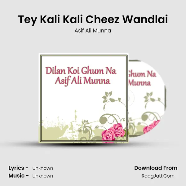 Tey Kali Kali Cheez Wandlai MP3 Song by Asif Ali Munna Cover
