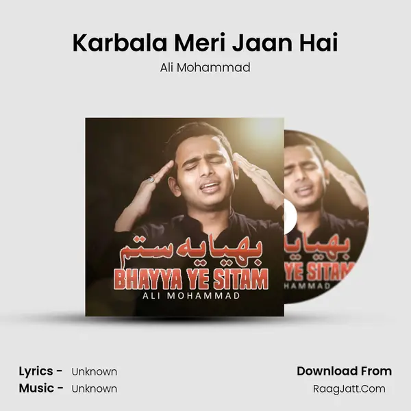 Karbala Meri Jaan Hai MP3 Song by Ali Mohammad Cover