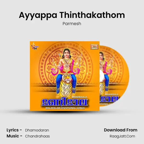 Ayyappa Thinthakathom MP3 Song by Parmesh Cover