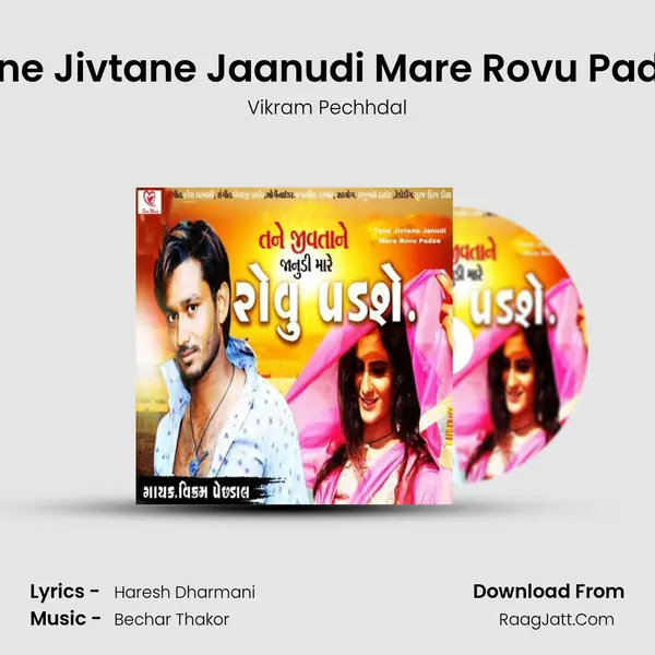 Tane Jivtane Jaanudi Mare Rovu Padse MP3 Song by Vikram Pechhdal Cover