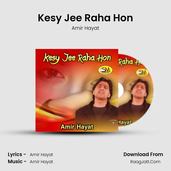 Amir Hayat