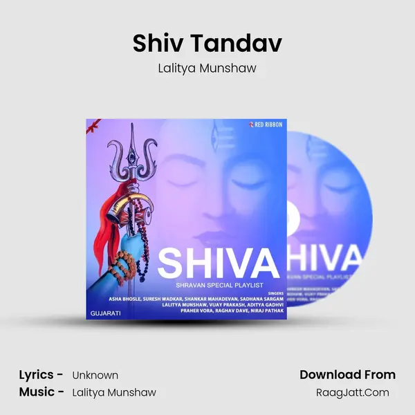 Shiv Tandav Cover