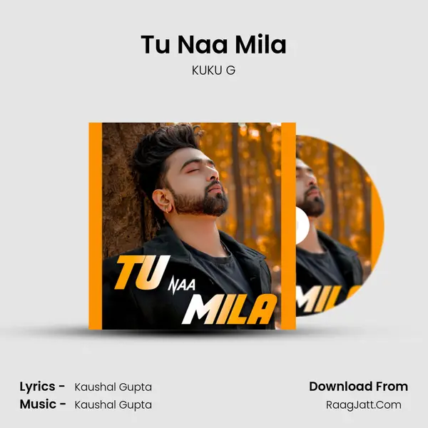 Tu Naa Mila mp3 song