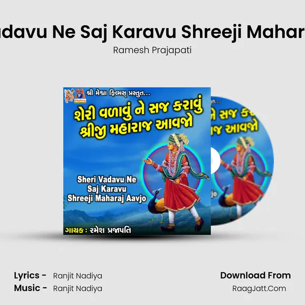 Sheri Vadavu Ne Saj Karavu Shreeji Maharaj Aavjo mp3 song