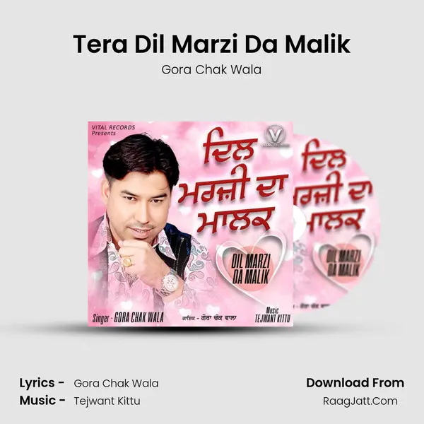 Tera Dil Marzi Da Malik MP3 Song by Gora Chak Wala Cover