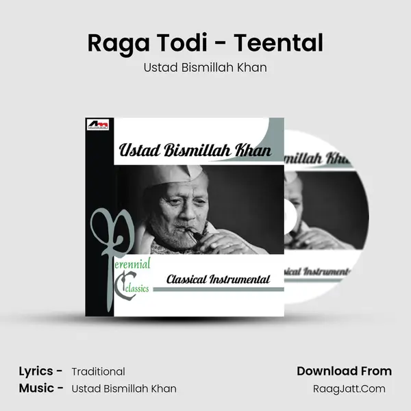 Raga Todi - Teental Cover