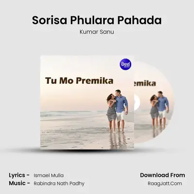 Sorisa Phulara Pahada MP3 Song by Kumar Sanu Cover