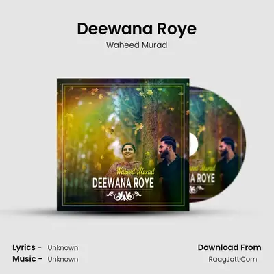 Deewana Roye mp3 song