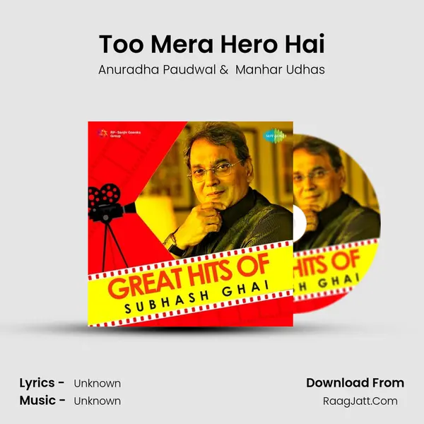 Too Mera Hero Hai Cover