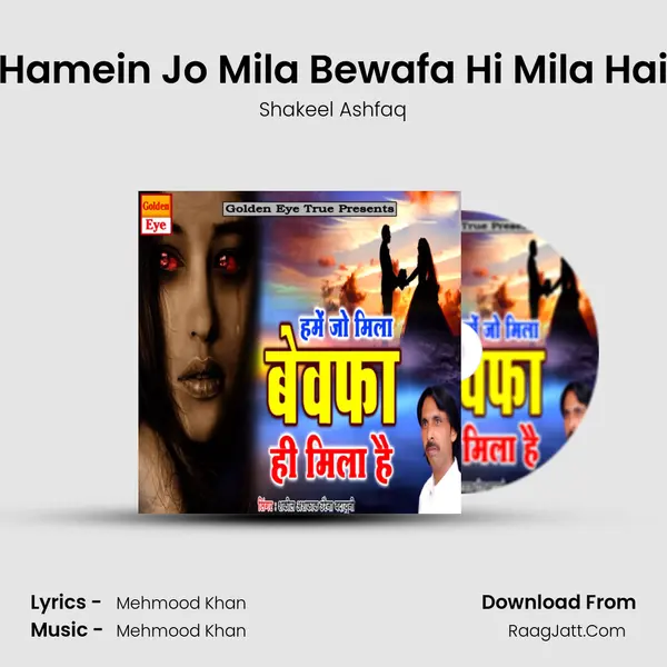 Hamein Jo Mila Bewafa Hi Mila Hai - Shakeel Ashfaq