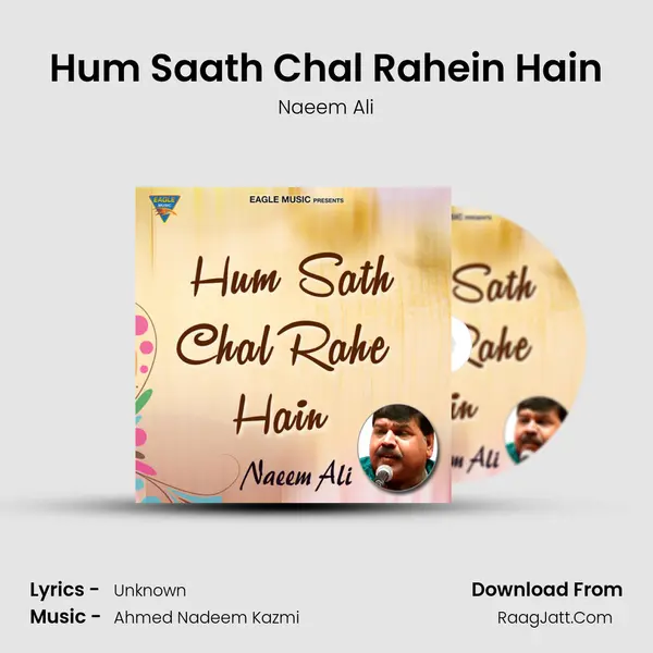 Hum Saath Chal Rahein Hain - Single - Naeem Ali