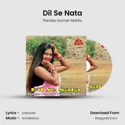 Dil Se Nata mp3 song