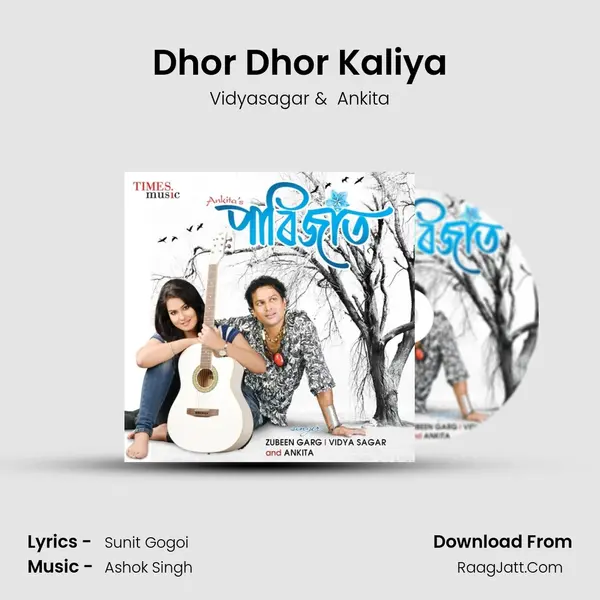 Dhor Dhor Kaliya MP3 Song by Vidyasagar Cover