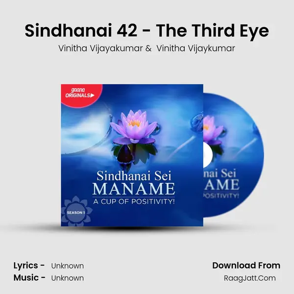 Sindhanai 42 - The Third Eye MP3 Song by Vinitha Vijayakumar Cover