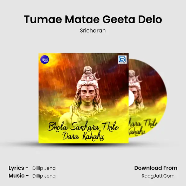 Tumae Matae Geeta Delo MP3 Song by Sricharan Cover