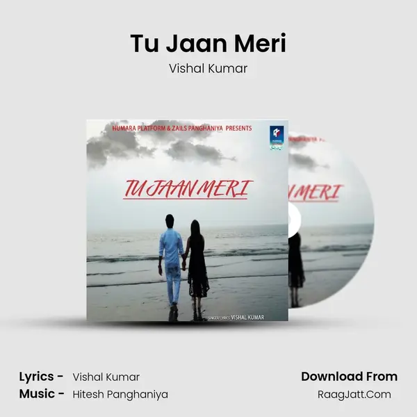 Tu Jaan Meri MP3 Song by Vishal Kumar Cover