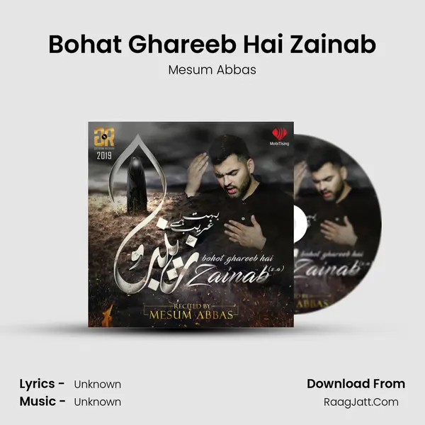 Bohat Ghareeb Hai Zainab - Single - Mesum Abbas