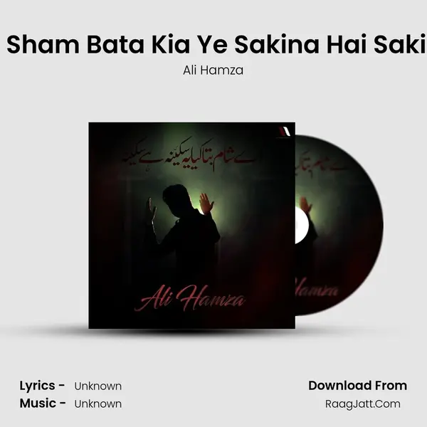 Ay Sham Bata Kia Ye Sakina Hai Sakina - Single - Ali Hamza