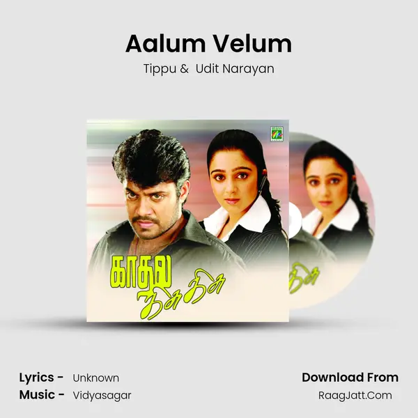 Aalum Velum MP3 Song by Tippu Cover