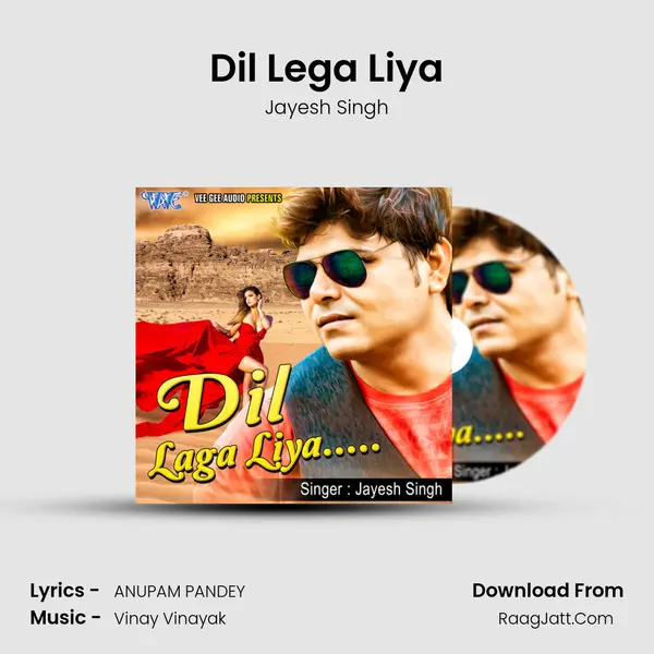 Dil Lega Liya mp3 song