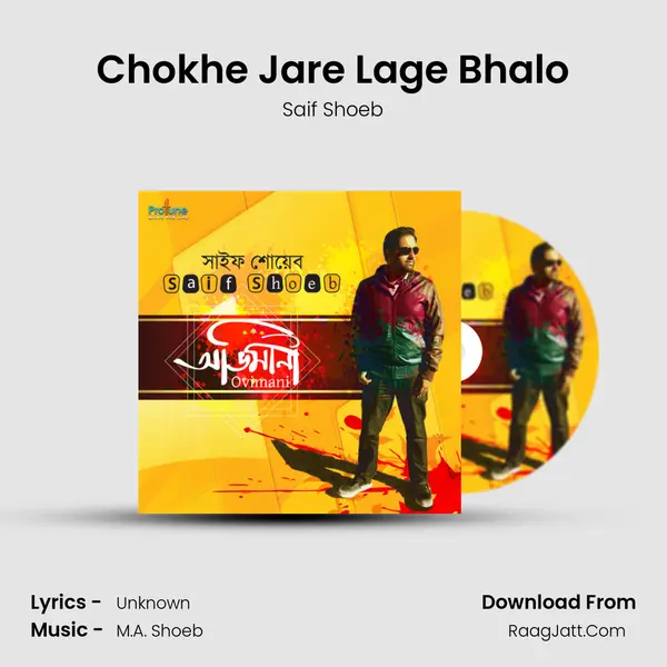 Chokhe Jare Lage Bhalo mp3 song