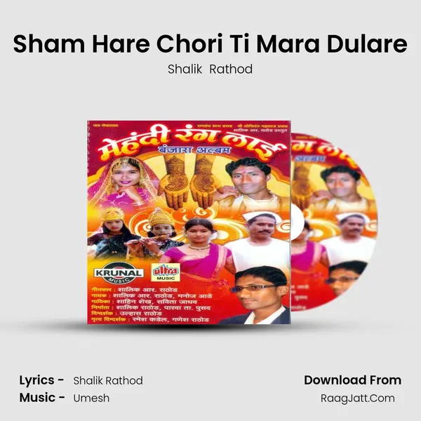 Sham Hare Chori Ti Mara Dulare MP3 Song by Shalik  Rathod Cover