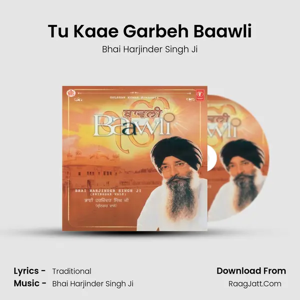 Tu Kaae Garbeh Baawli MP3 Song by Bhai Harjinder Singh Ji Cover