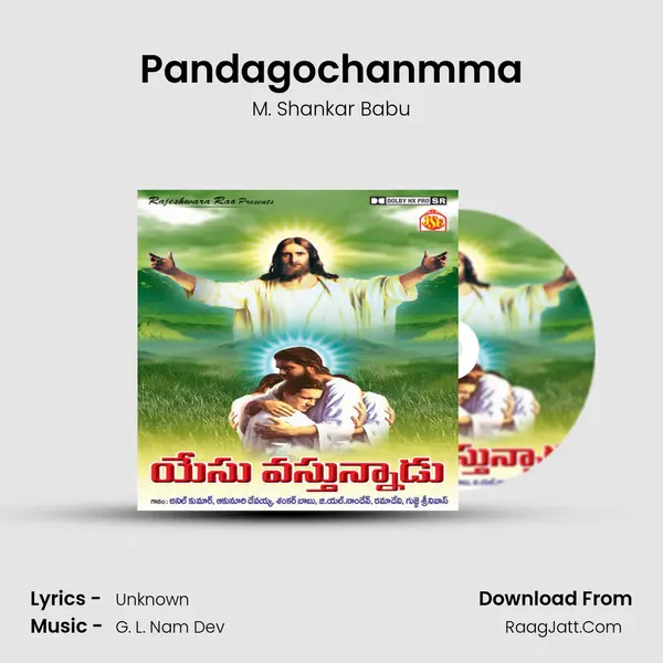 Pandagochanmma Cover